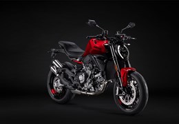 Neumotorrad Ducati Monster
