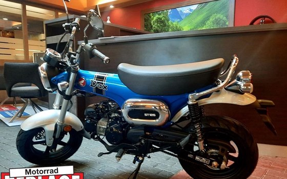 Neufahrzeug Honda Dax 125 - Bild 3