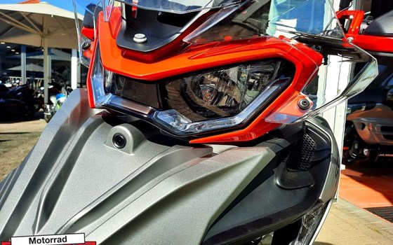 Neufahrzeug QJ Motor SRT 900 SX - Bild 6