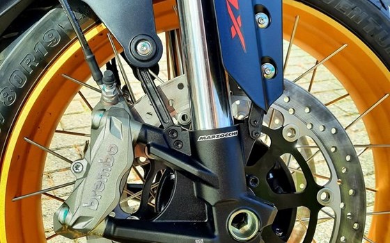 Neufahrzeug QJ Motor SRT 900 SX - Bild 9