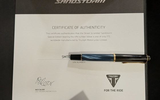 Gebrauchtmotorrad Triumph Street Scrambler Sandstorm Edition - Bild 5