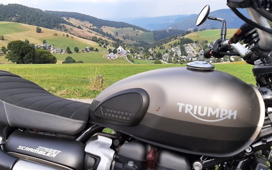 Gebrauchtmotorrad Triumph Street Scrambler Sandstorm Edition - Bild 6