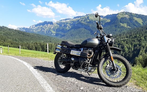 Gebrauchtmotorrad Triumph Street Scrambler Sandstorm Edition - Bild 7