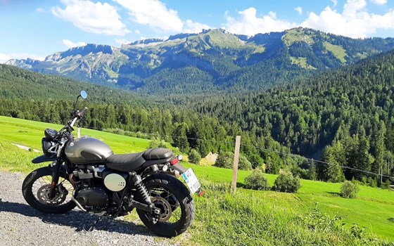 Gebrauchtmotorrad Triumph Street Scrambler Sandstorm Edition - Bild 8
