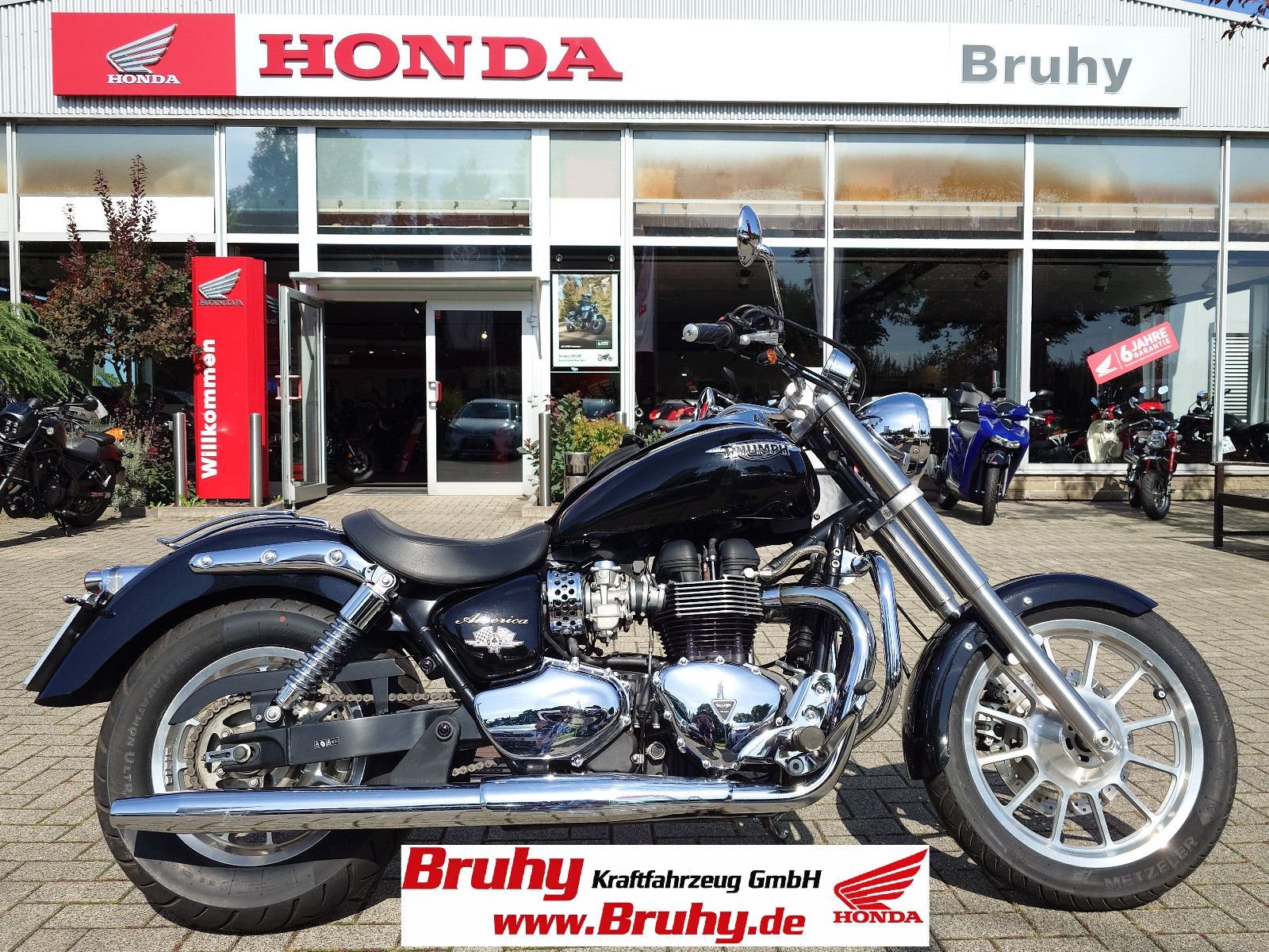 Triumph America