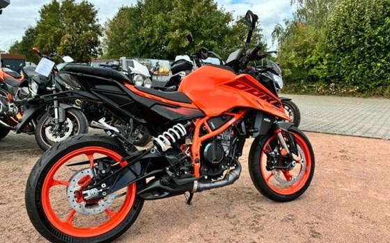 Neufahrzeug KTM 390 Duke - Bild 6