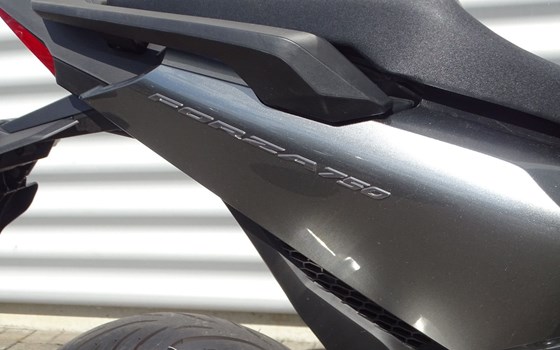 Gebrauchtmotorrad Honda Forza 750 - Bild 5