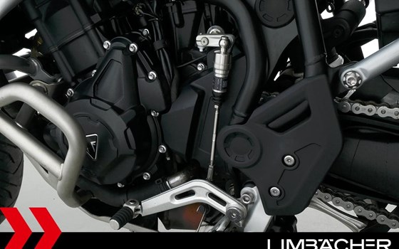 Gebrauchtmotorrad Triumph Tiger 900 Rally Pro - Bild 20