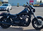 Angebot Triumph Thunderbird