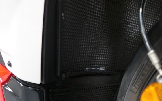 Gebrauchtmotorrad Ducati Streetfighter V4 S - Bild 8
