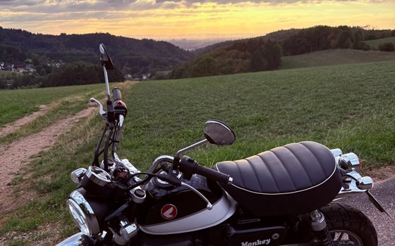 Gebrauchtmotorrad Honda Monkey 125 - Bild 1