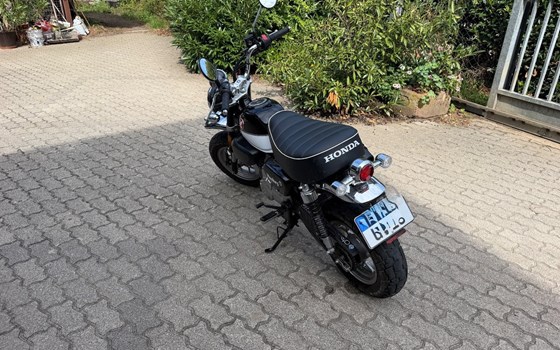 Gebrauchtmotorrad Honda Monkey 125 - Bild 3