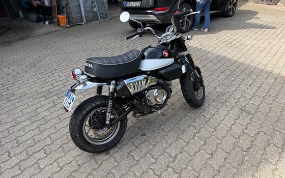 Gebrauchtmotorrad Honda Monkey 125 - Bild 4