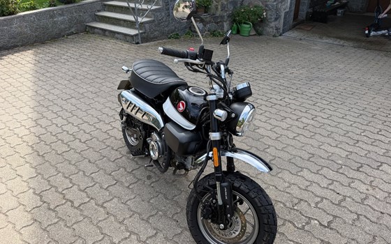 Gebrauchtmotorrad Honda Monkey 125 - Bild 5