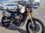 Angebot Triumph Scrambler 1200 XE