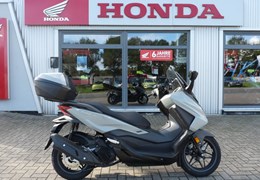 Neumotorrad Honda Forza 125