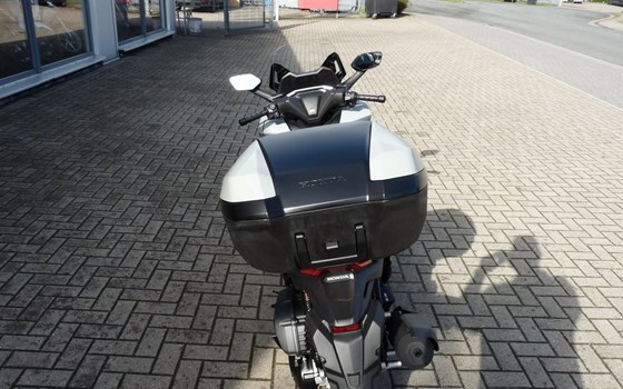 Neufahrzeug Honda Forza 125 - Bild 8