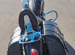 Angebot Indian Scout