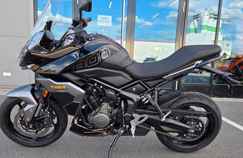 Neumotorrad Triumph Tiger Sport 800