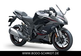 Neumotorrad Kawasaki Ninja 1100SX SE