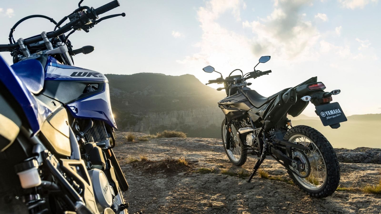 Yamaha WR125R