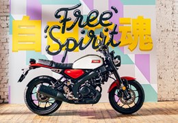 Gebrauchte Yamaha XSR125