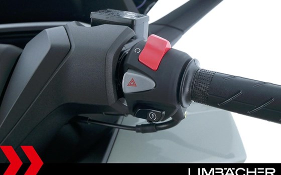 Gebrauchtmotorrad Honda Forza 350 - Bild 22