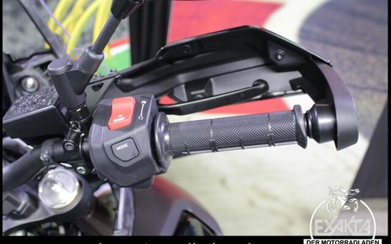 Gebrauchtmotorrad Yamaha Tenere 700 World Raid - Bild 19
