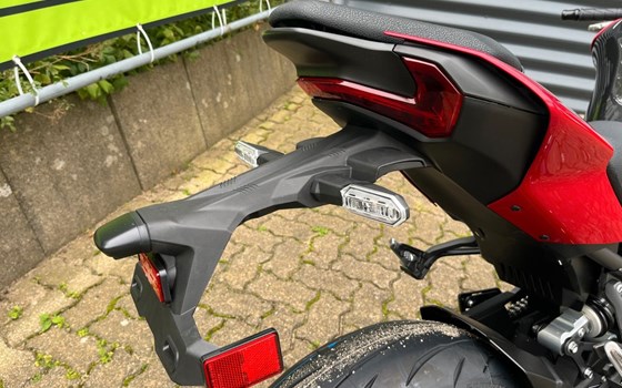 Neufahrzeug Kawasaki Z900 - Bild 10