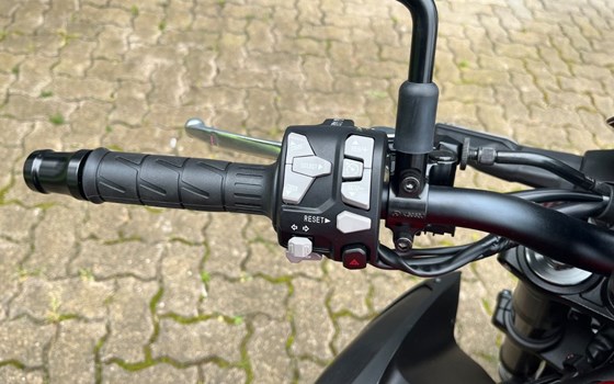 Neufahrzeug Kawasaki Z900 - Bild 11