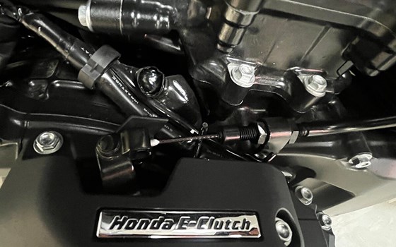 Neufahrzeug Honda XL750 Transalp E-Clutch - Bild 4