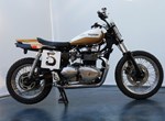 Angebot Triumph Scrambler 900