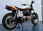 Angebot Triumph Scrambler 900