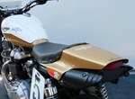 Angebot Triumph Scrambler 900