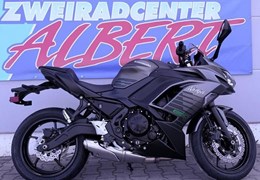 Neumotorrad Kawasaki Ninja 650