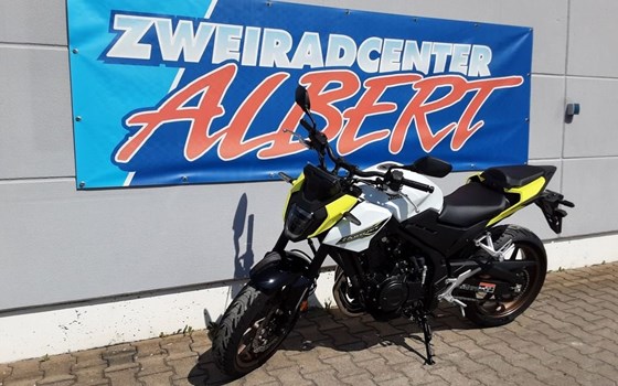 Gebrauchtmotorrad Honda CB500 Hornet E-Clutch - Bild 3