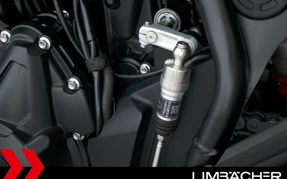 Gebrauchtmotorrad Triumph Tiger 900 Alpine Edition - Bild 17