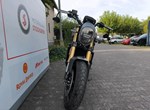 Angebot Benelli Leoncino 800