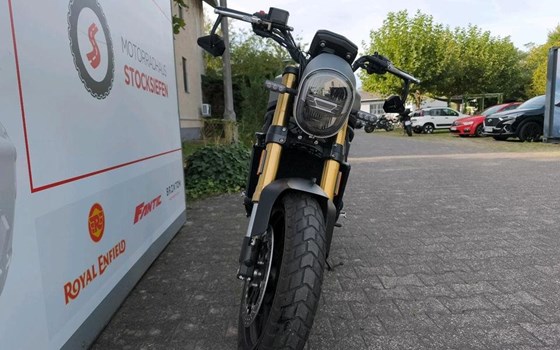 Gebrauchtmotorrad Benelli Leoncino 800 - Bild 3