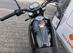 Angebot Benelli Leoncino 500