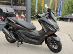 Angebot Honda Forza 350 Special Edition