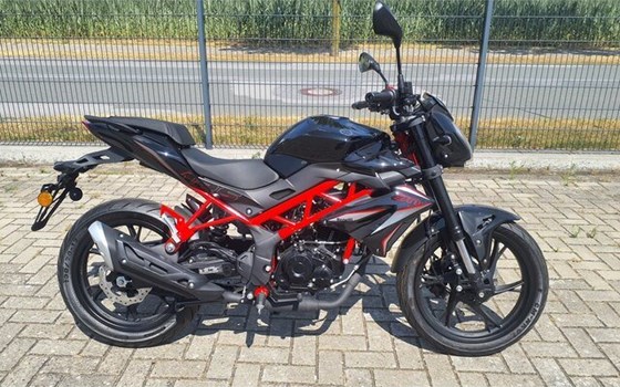 Neufahrzeug Benelli BN 125 - Bild 10