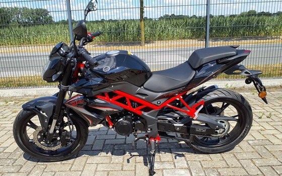 Neufahrzeug Benelli BN 125 - Bild 11