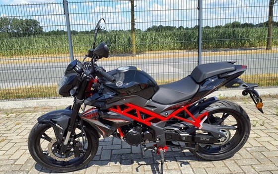 Neufahrzeug Benelli BN 125 - Bild 15