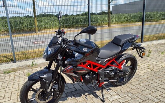 Neufahrzeug Benelli BN 125 - Bild 16