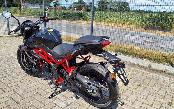 Neufahrzeug Benelli BN 125 - Bild 4