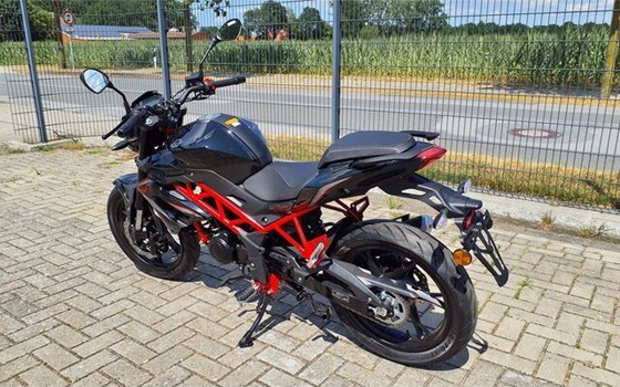 Neufahrzeug Benelli BN 125 - Bild 5