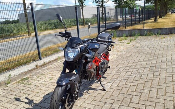 Neufahrzeug Benelli BN 125 - Bild 7