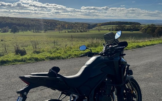 Gebrauchtmotorrad Honda NX500 - Bild 2