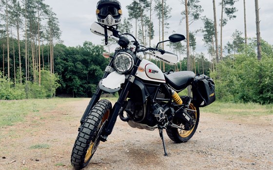 Gebrauchtmotorrad Ducati Scrambler Desert Sled - Bild 1